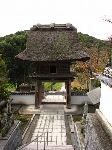 安国寺6