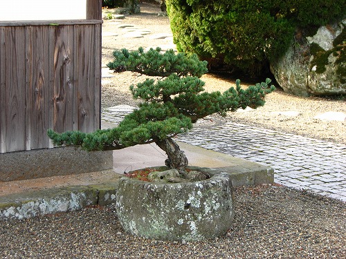 国見ふるさと展示館8
