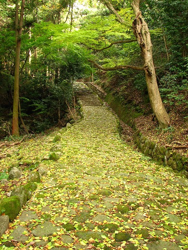 旧千燈寺跡6