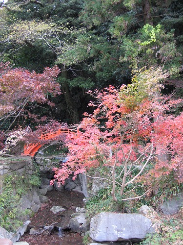 両子寺仁王門19