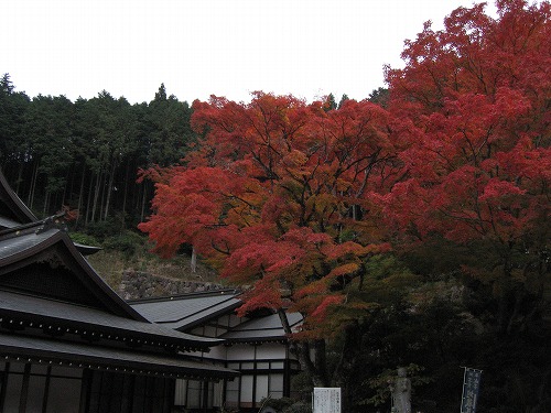 両子寺8