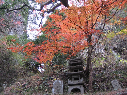 両子寺の紅葉10