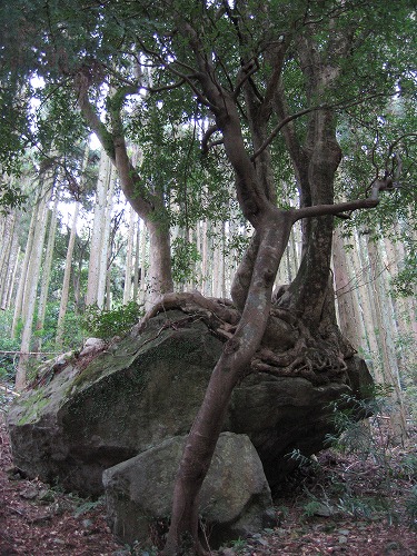 両子寺奥の院10