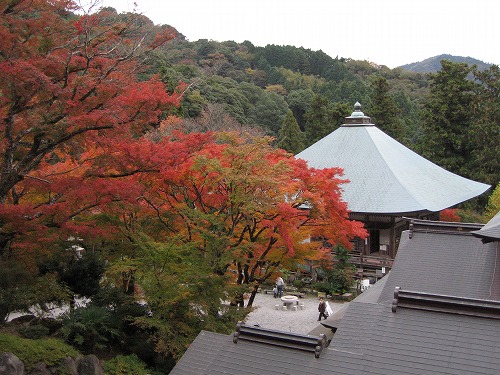 両子寺の紅葉14