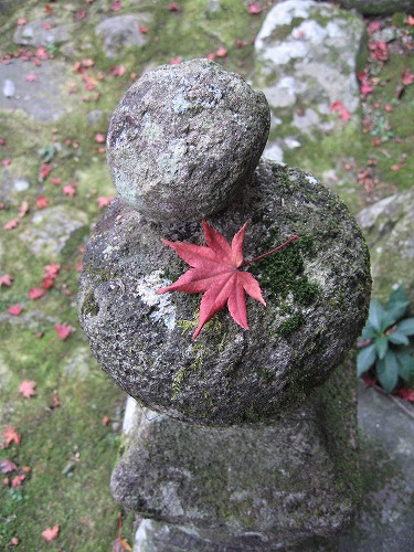 両子寺の紅葉15