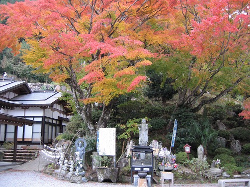 両子寺の紅葉8