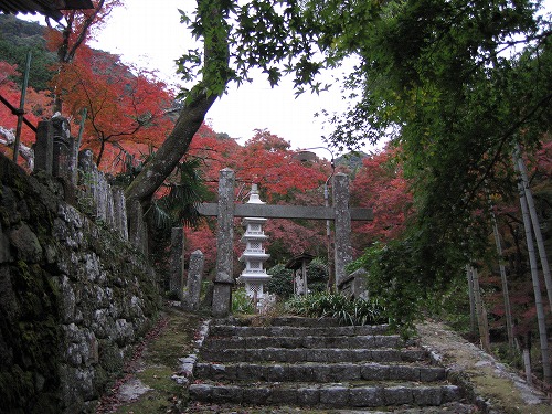 両子寺の紅葉9