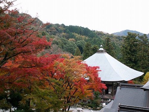 両子寺の紅葉3