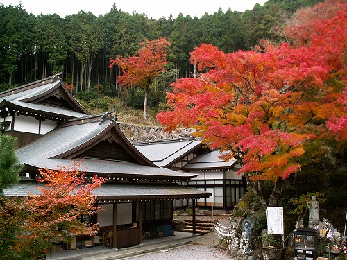 両子寺の紅葉1