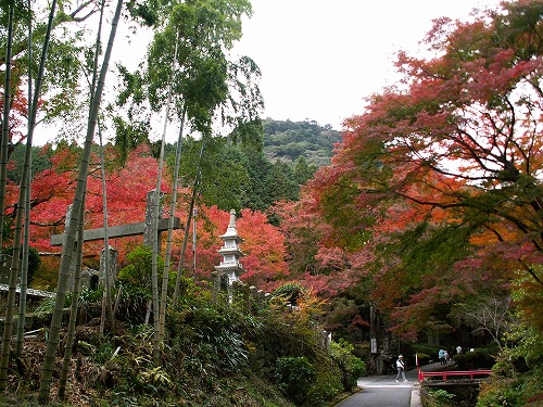 両子寺の紅葉6
