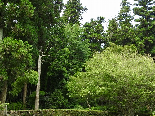 三浦梅園資料館7