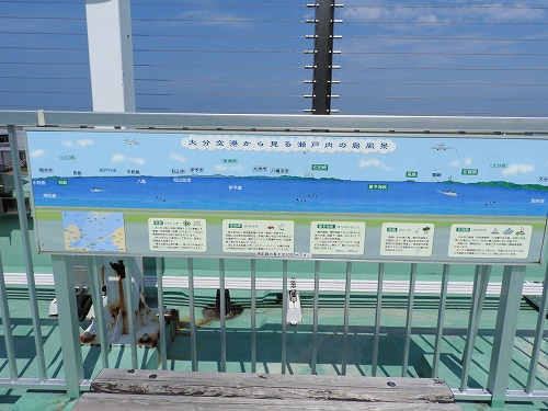 大分空港3