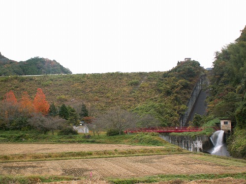 こっとん村6