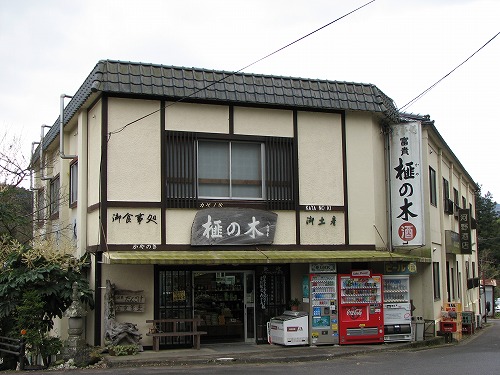 榧の木1