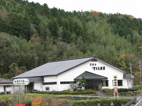 さくら茶屋1