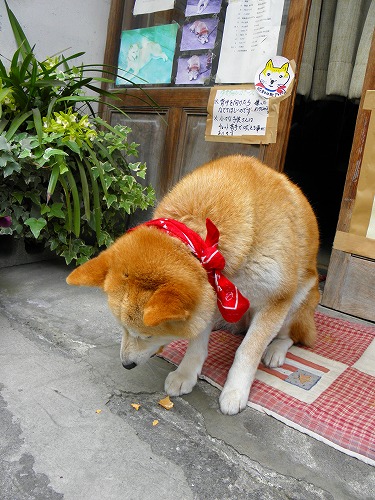 松田はきもの店12