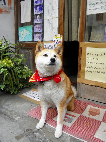 松田はきもの店8