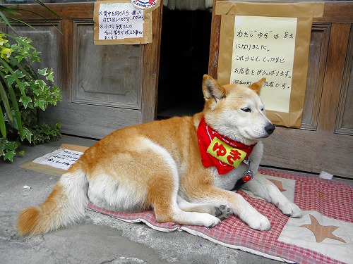 松田はきもの店6