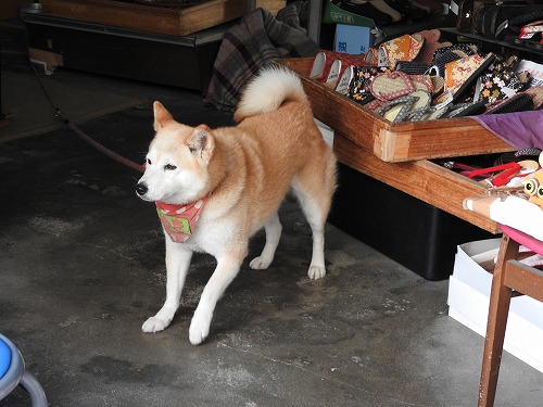 松田はきもの店13