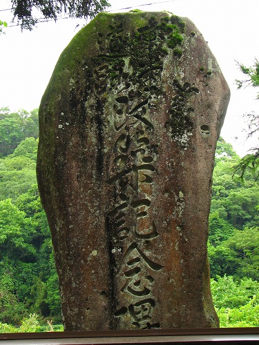 椿大堂8