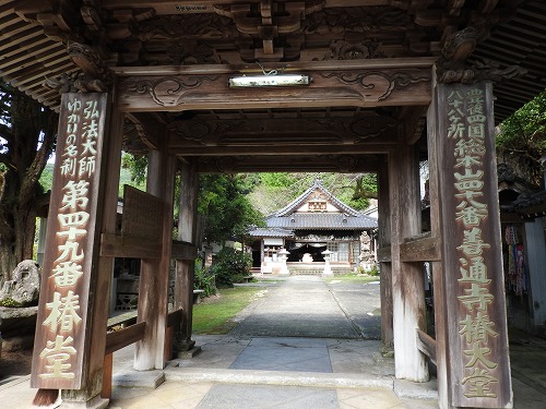椿大堂2