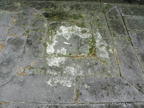 応暦寺8