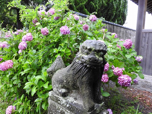 若宮八幡社16