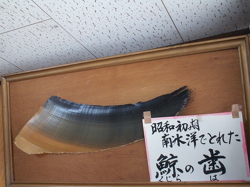 日名子鮮魚店2