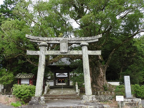 椿八幡社14