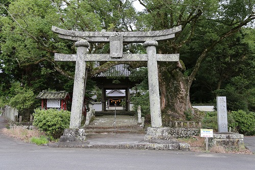椿八幡社2