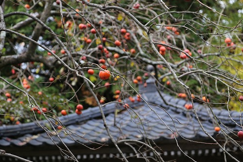 長安寺10