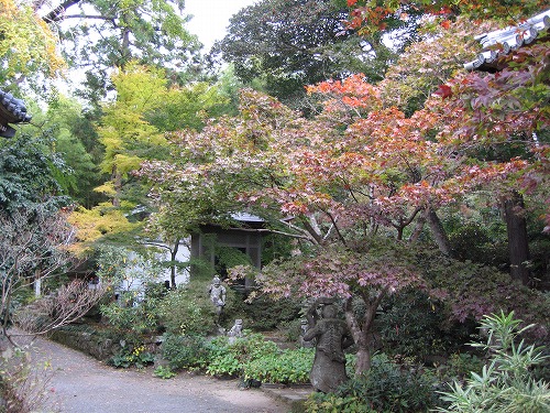 長安寺の金明孟宗竹9