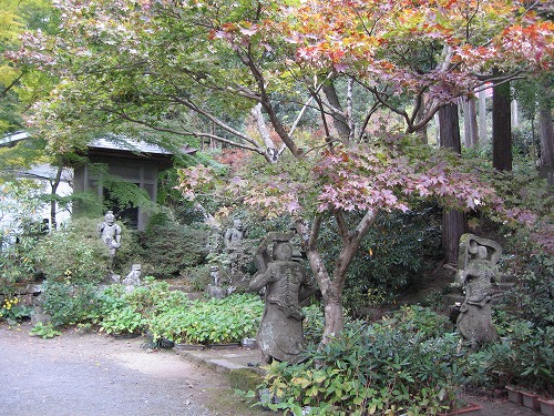 長安寺の金明孟宗竹12