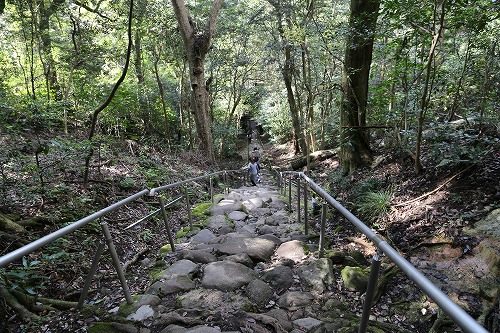 熊野磨崖仏参道5