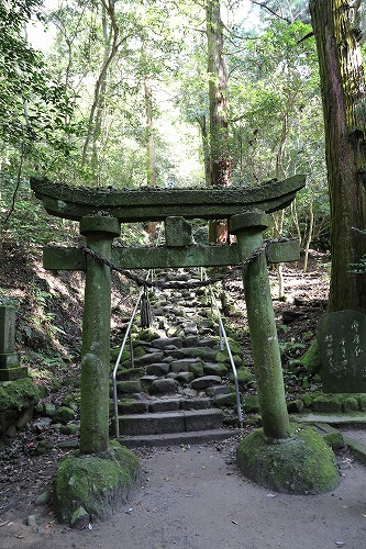 熊野磨崖仏参道11