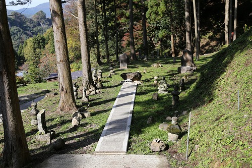 胎蔵寺8