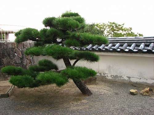 杵築城7