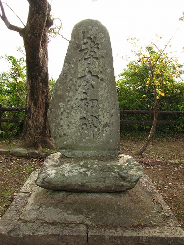 杵築城の国東塔5
