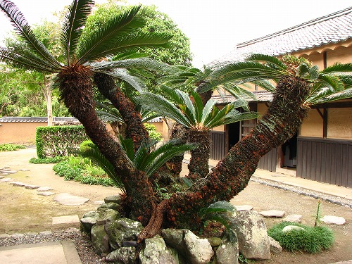 大原邸1
