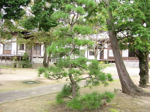 長昌寺庭園3