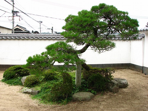 長昌寺庭園6