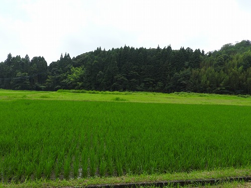 小武寺16