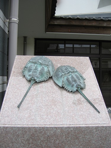 杵築市のマンホールの蓋4