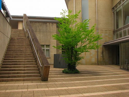 香りの博物館の庭3