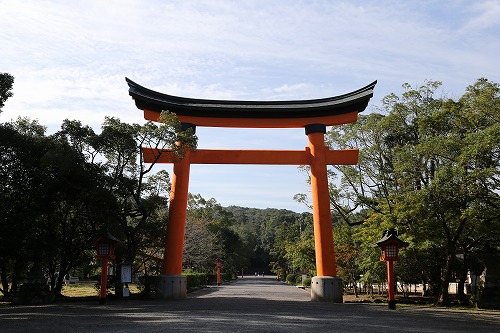 宇佐神宮2