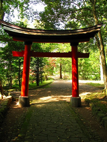 宇佐神宮鳥居11