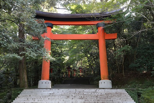 宇佐神宮鳥居8
