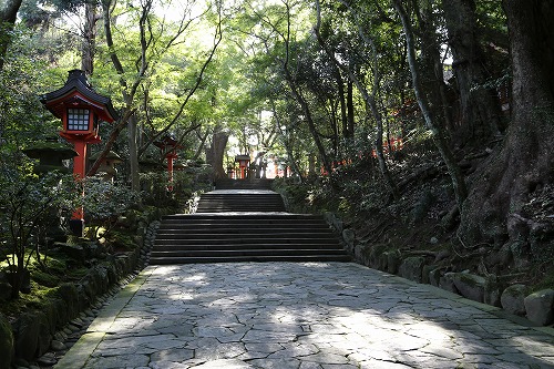 宇佐神宮鳥居12