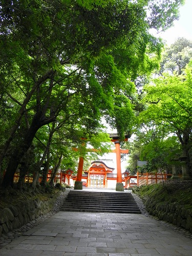 宇佐鳥居10