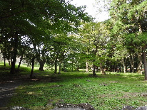 弥勒寺跡2